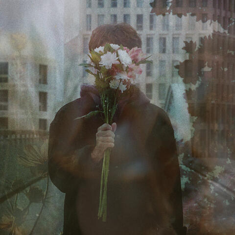 Bloom