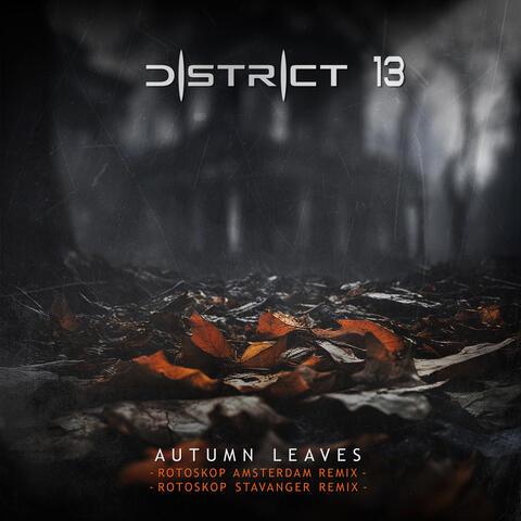 Autumn Leaves (The Rotoskop Remixes)