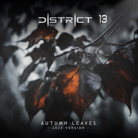 Autumn Leaves