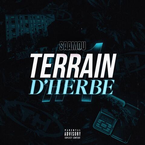 Terrain d'herbe #1
