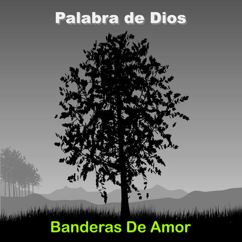 Banderas De Amor