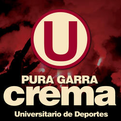 Universitario