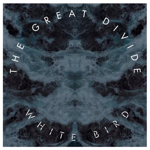 White Bird