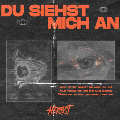 Du siehst mich an