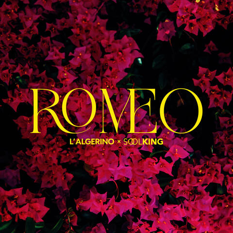 Roméo