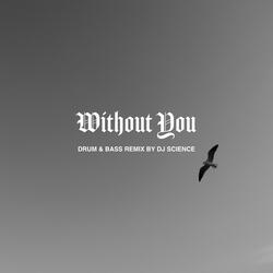 Without You