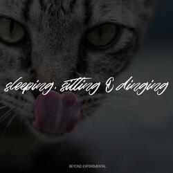 Sleeping