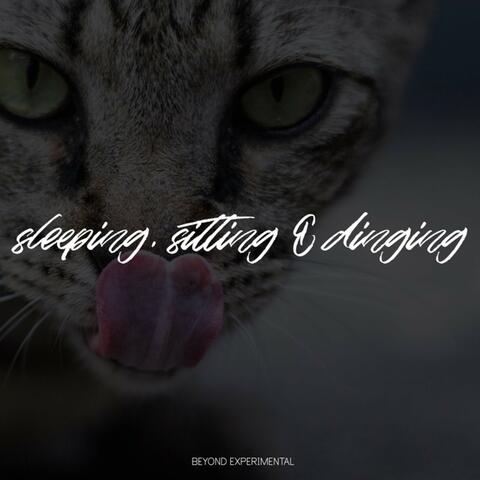 Sleeping, Sitting & Dining