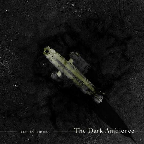 The Dark Ambience