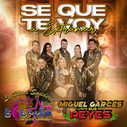 Se Que Te Voy A Extrañar