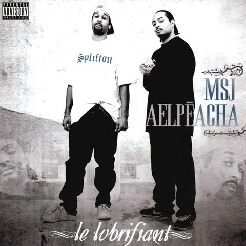 Le lubrifiant