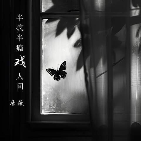 半疯半癫戏人间