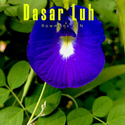 Dasar Luh