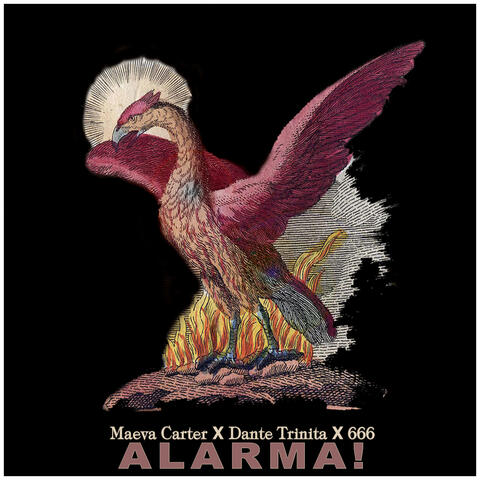 Alarma!