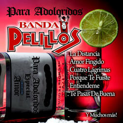 Amor Fingido