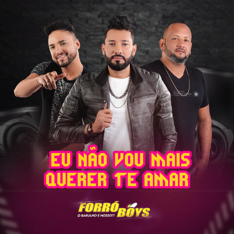 Eu Não Vou Mais Querer Te Amar