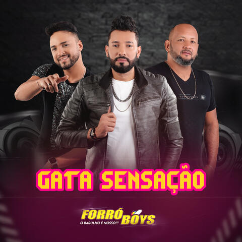 Gata Sensação