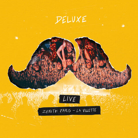 Live au Zénith Paris - La Vilette -