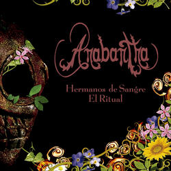 Fragmentos De Soledad