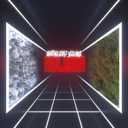 Huligan