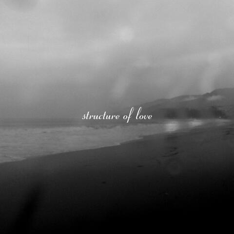 Structure of Love II