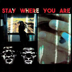 Stay Where You Are