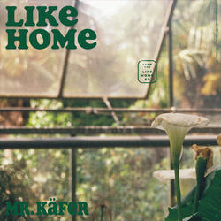 Like Home