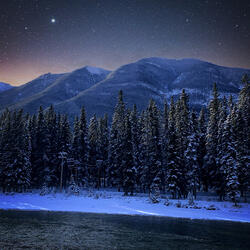 Winter Waltz