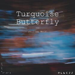 Turquoise Butterfly