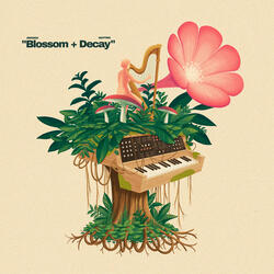 Blossom