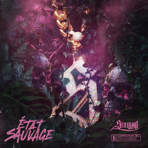 État sauvage