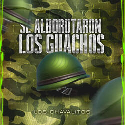 Se Alborotaron Los Guachos