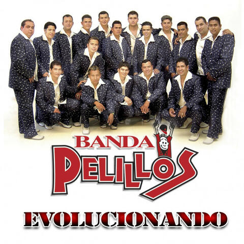 Banda Pelillos