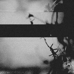 Homewrecker