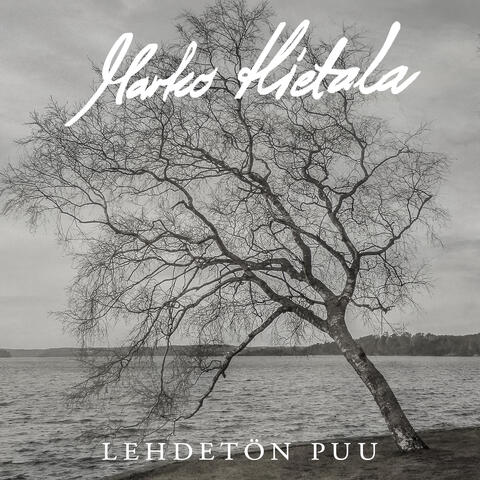 Lehdetön Puu