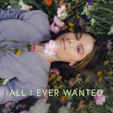 All I Ever Wanted