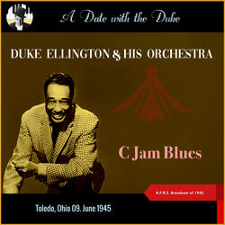 I Ain't Got Nothin' But The Blues