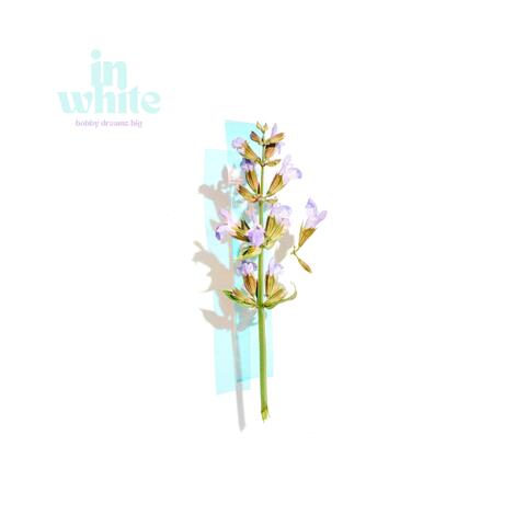 in white