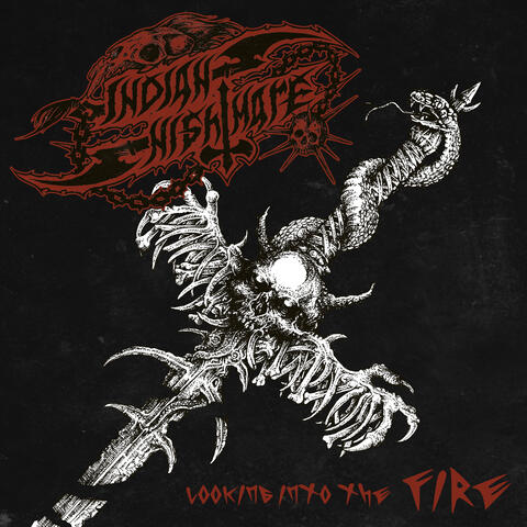 Looking into the Fire