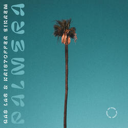 Palmera