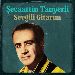 Sevgili Gitarım