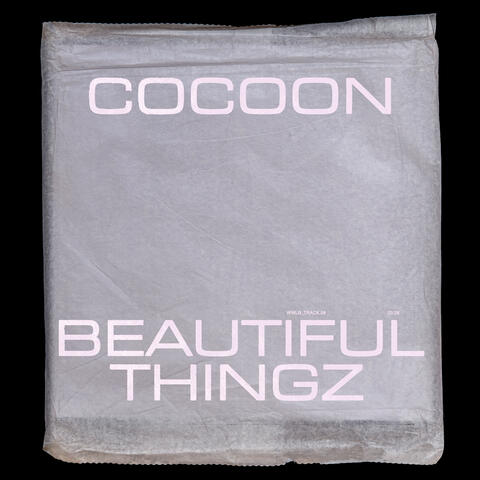 Beautiful Thingz