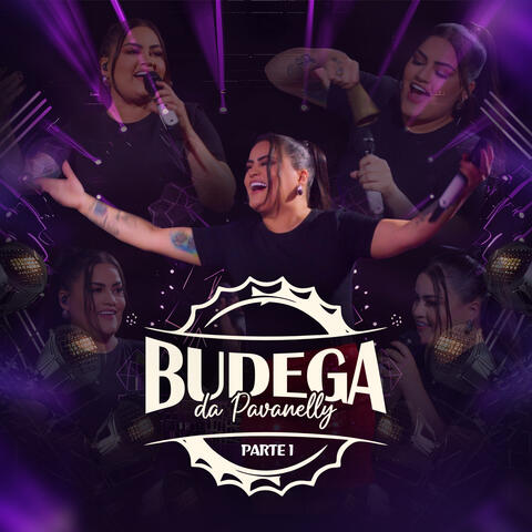 Budega Da Pavanelly, Pt.1