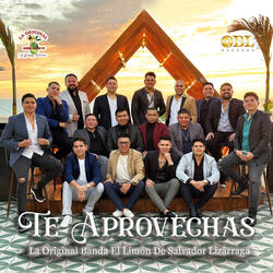 Te Aprovechas