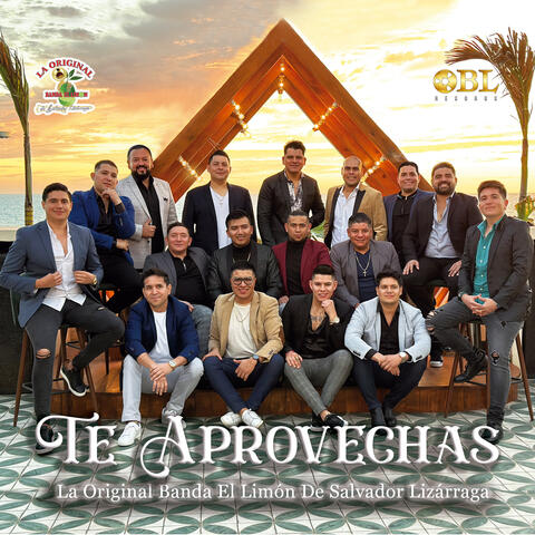 Te Aprovechas