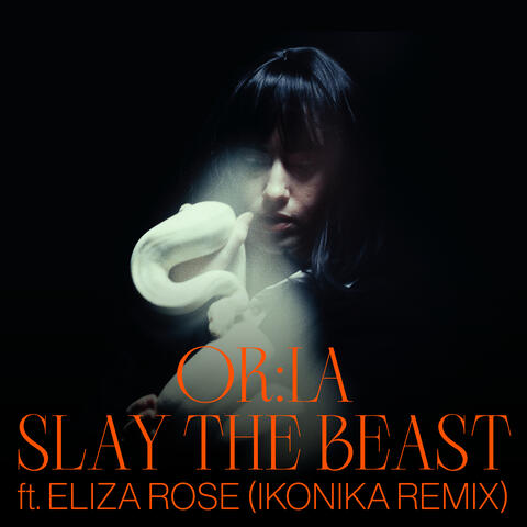 Slay The Beast