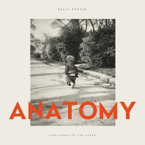 Anatomy