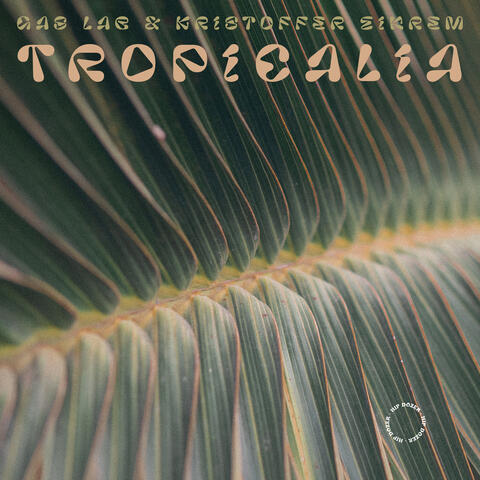 Tropicalia