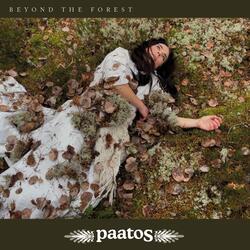 Beyond The Forest