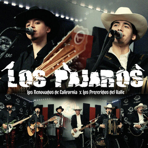 Los Pajaros